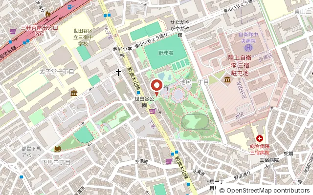 区立世田谷公園の周辺の地図（OpenStreetMap）