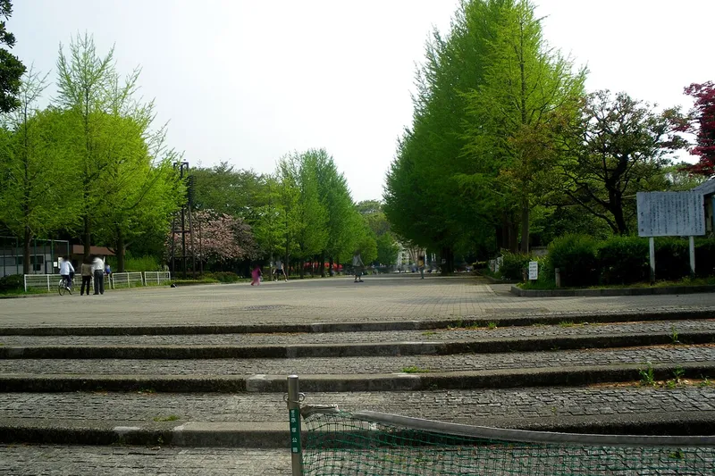 都立赤塚公園の入口付近の広場とイチョウ並木。