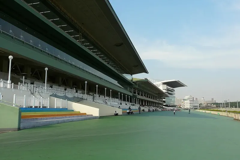 大井競馬場のスタンドとコース。