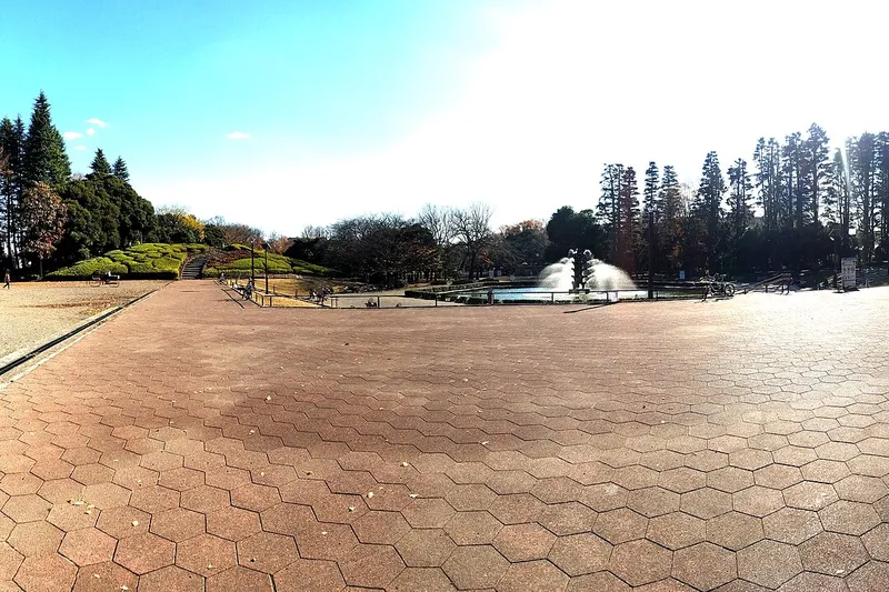 The fountain plaza and trees in Setagaya Park.