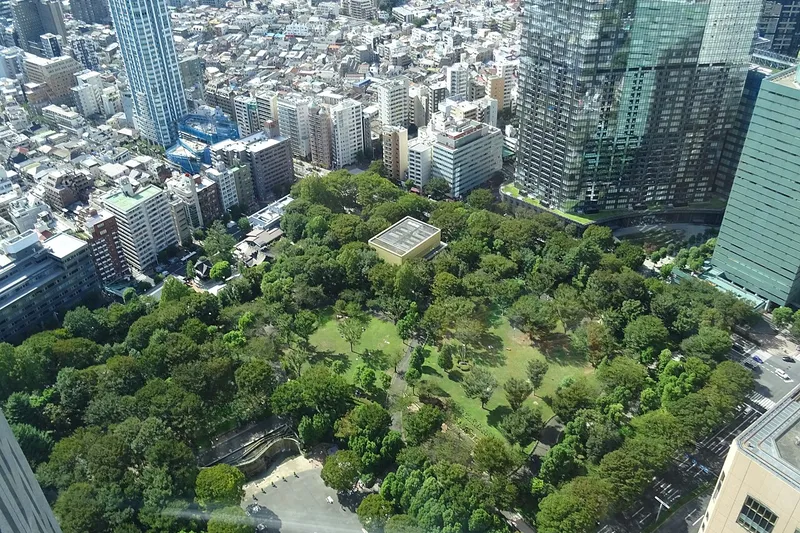 Shinjuku Central Park seen from above, from the Tokyo Metropolitan Government Building.