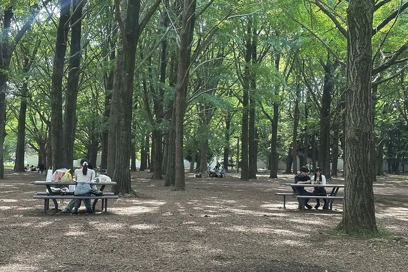 Trees and shaded tables inside Yoyogi Park.